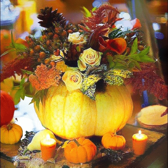 Meet your Posher, Anna - Picture 1 of 1